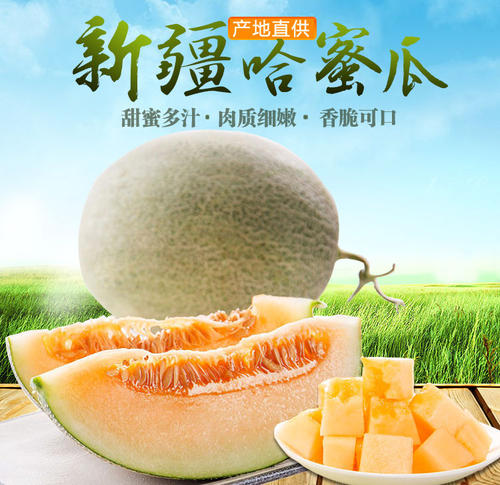 水果礼盒(西州蜜)