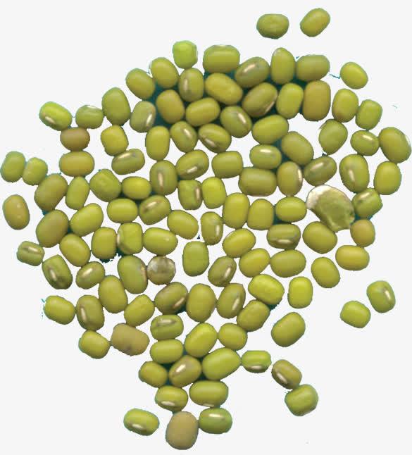 绿豆