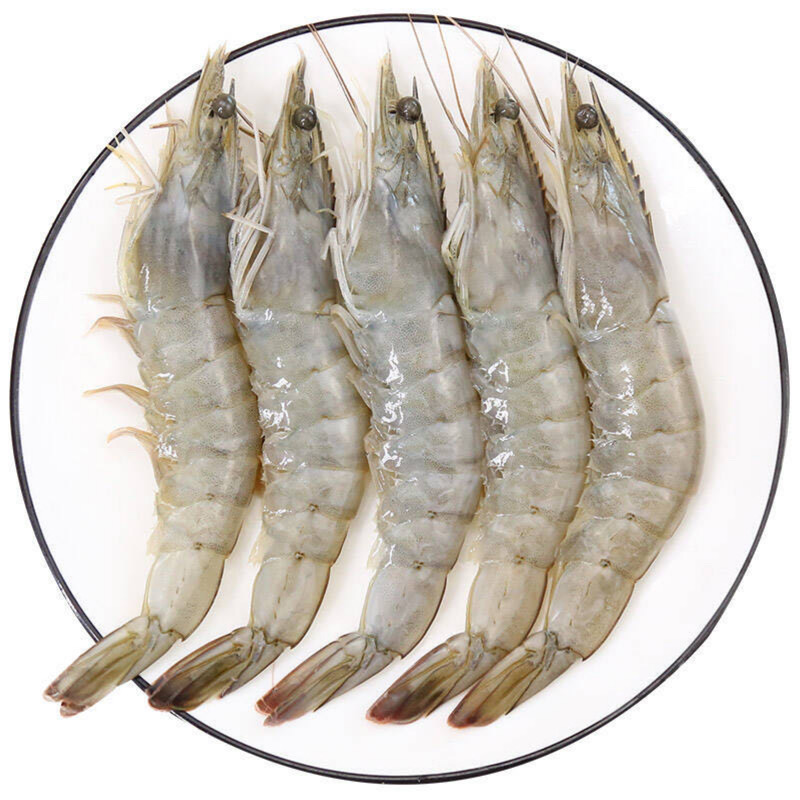 南美白对虾