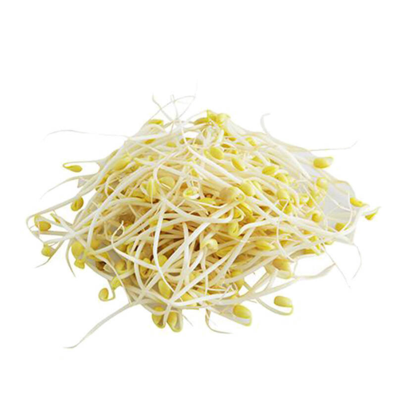 黄豆菜