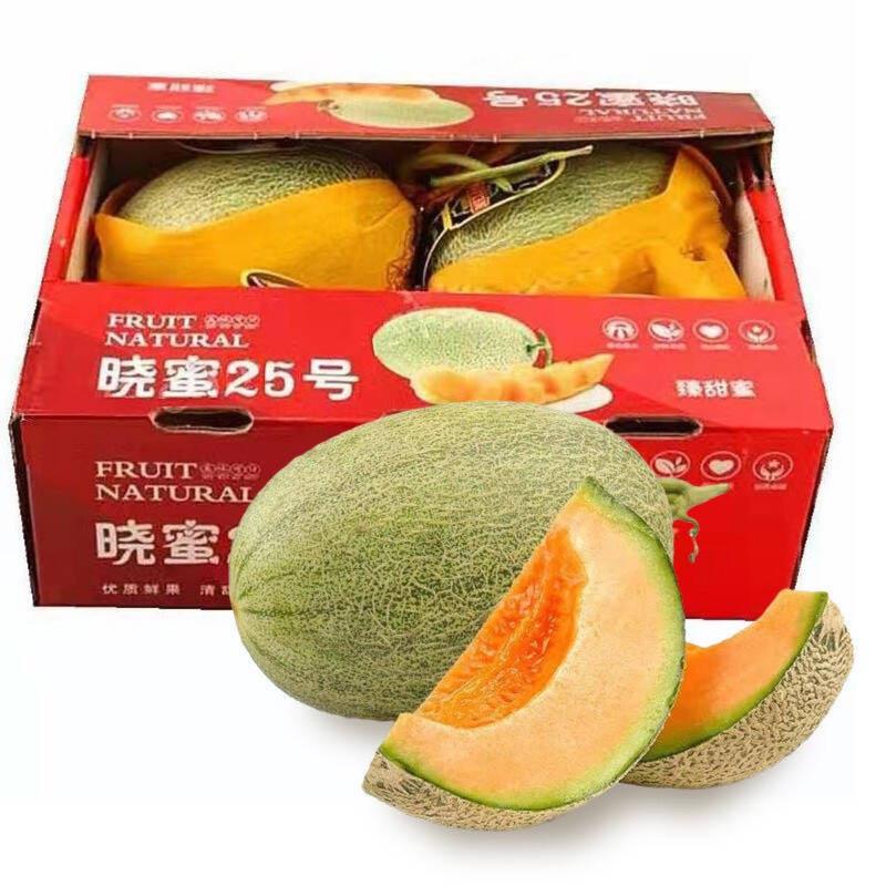 晓蜜甜瓜
