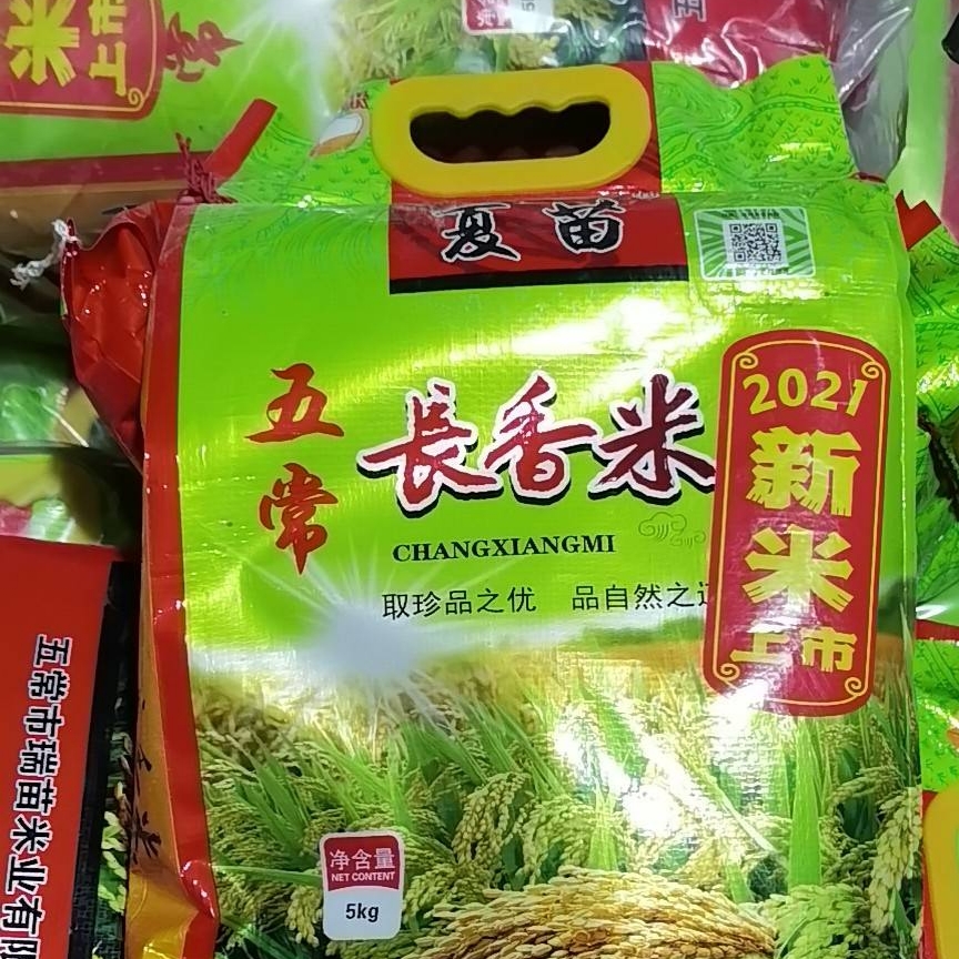夏苗五常长香大米