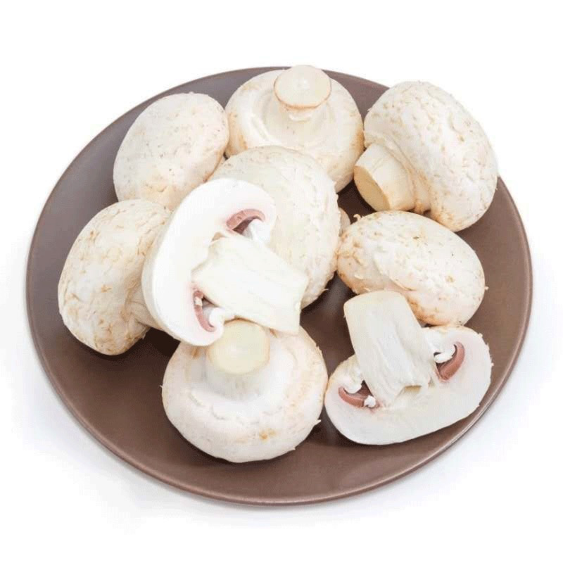 盒口蘑