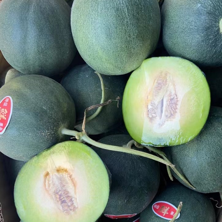 绿蜜甜瓜