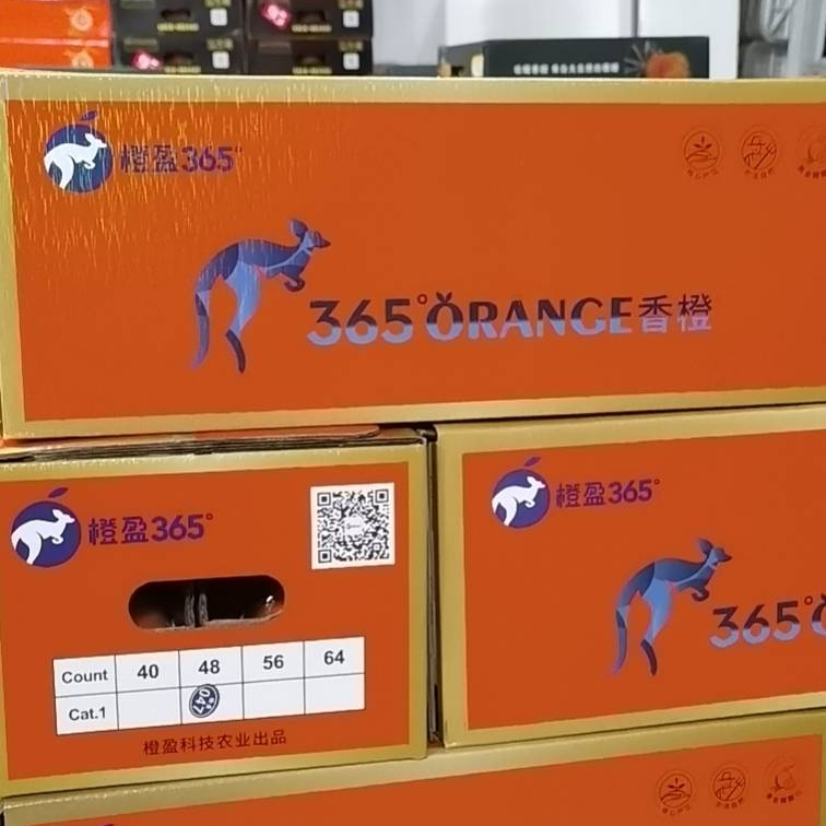 水果礼盒（365℃香橙）