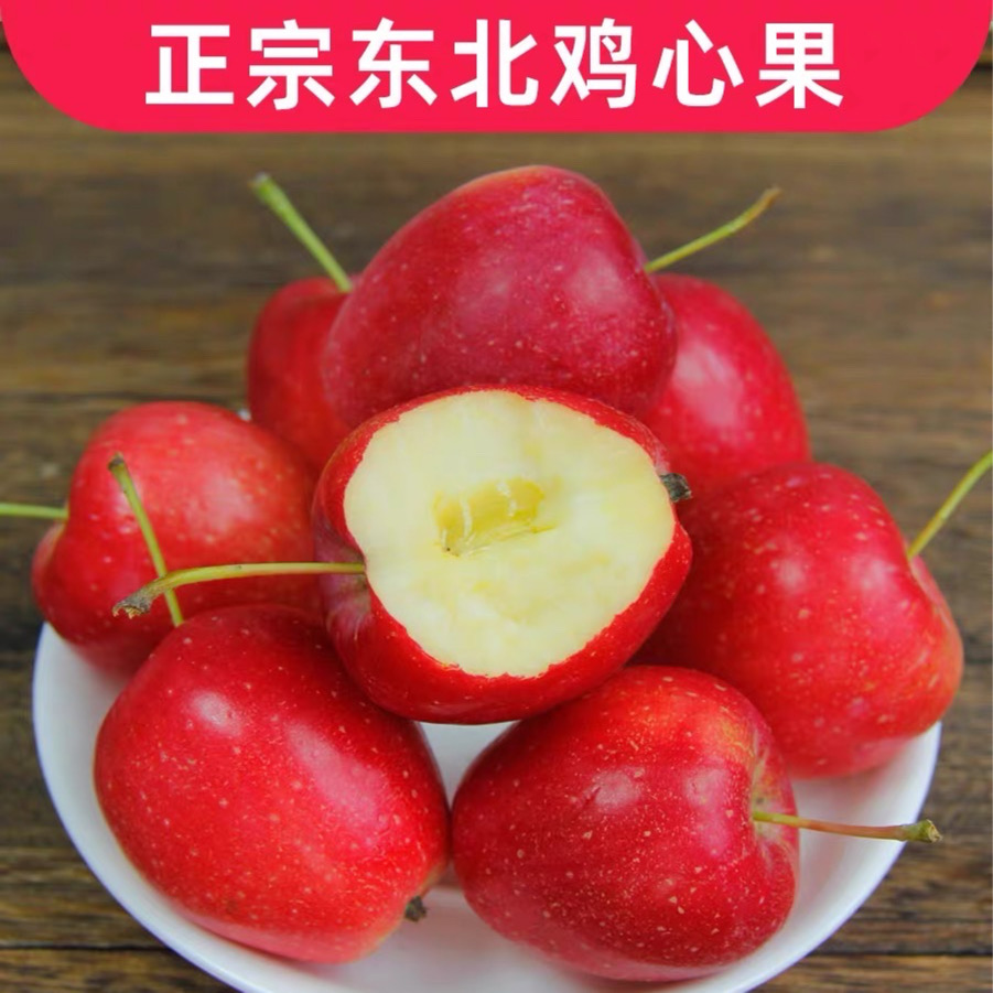鸡心果