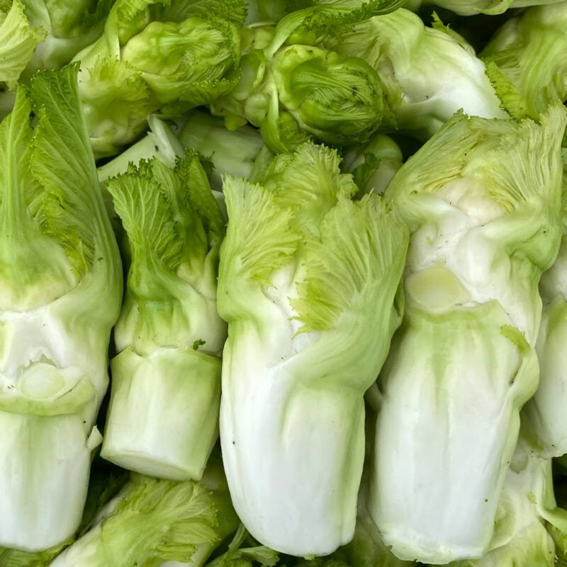 耳菜