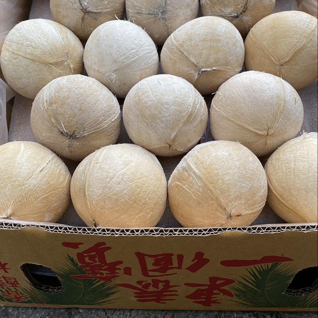 椰皇
