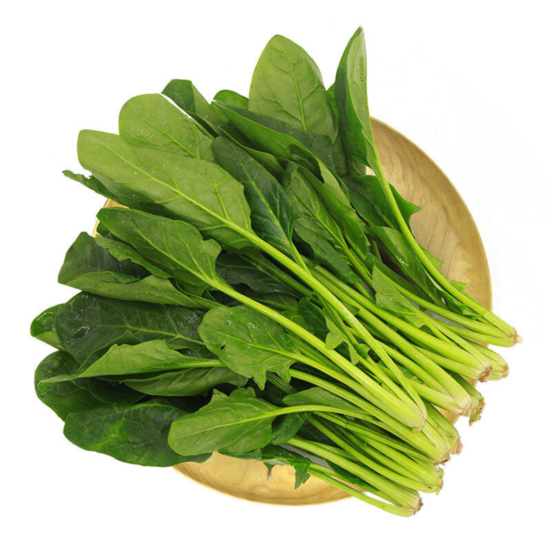 菠菜