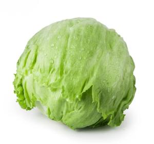 圆生菜