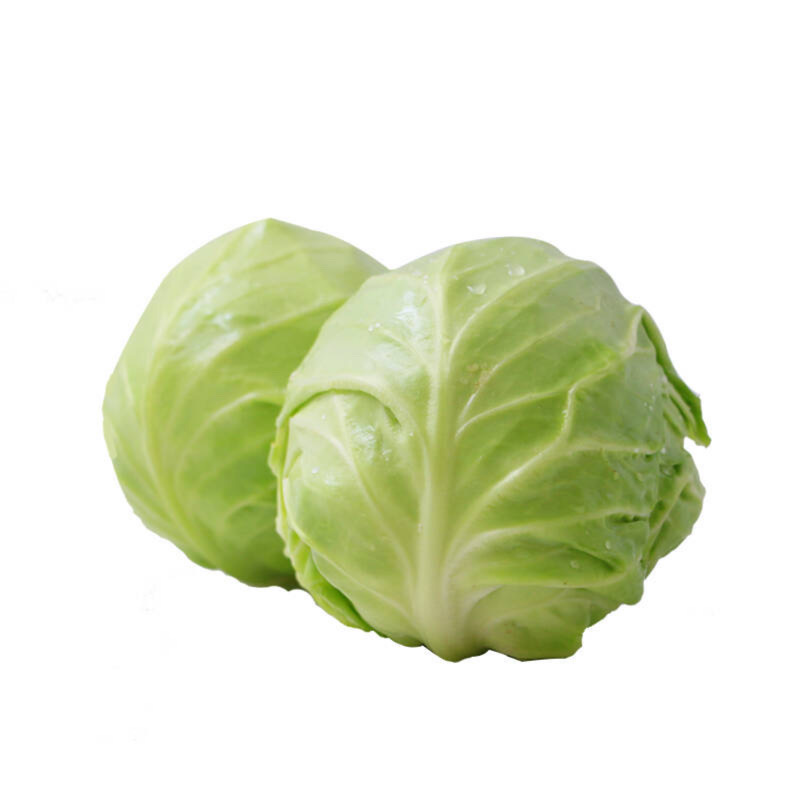 绿橄榄