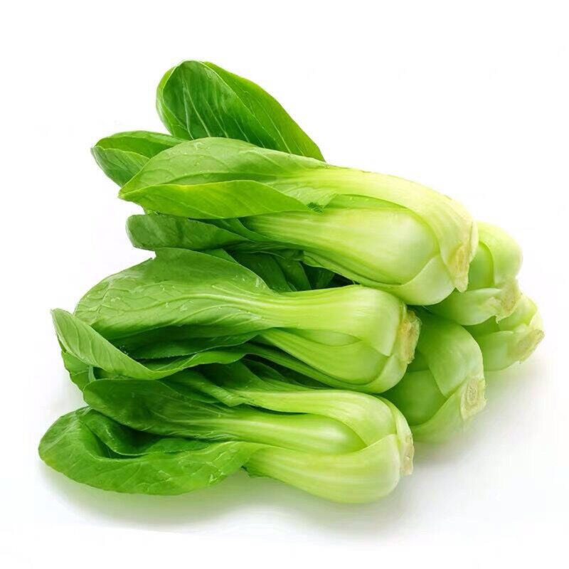 油菜