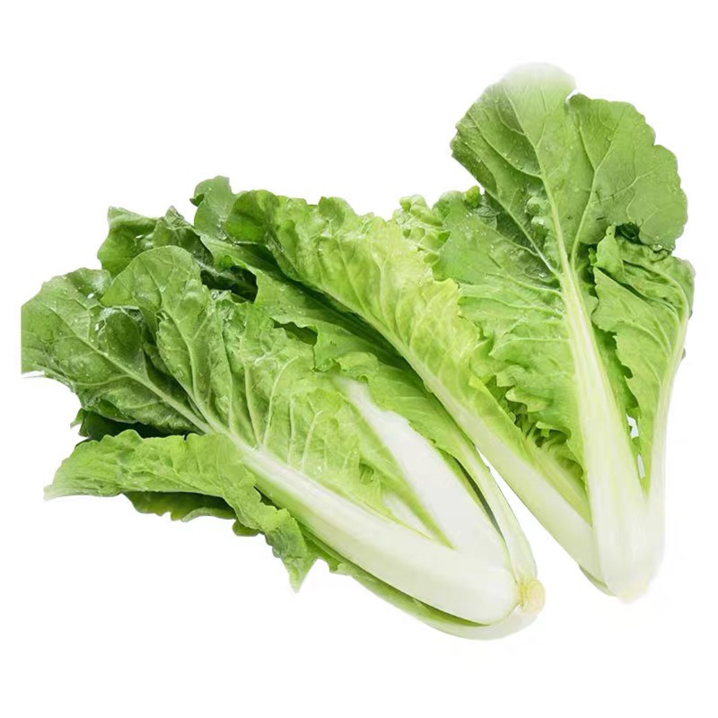 奶油白菜