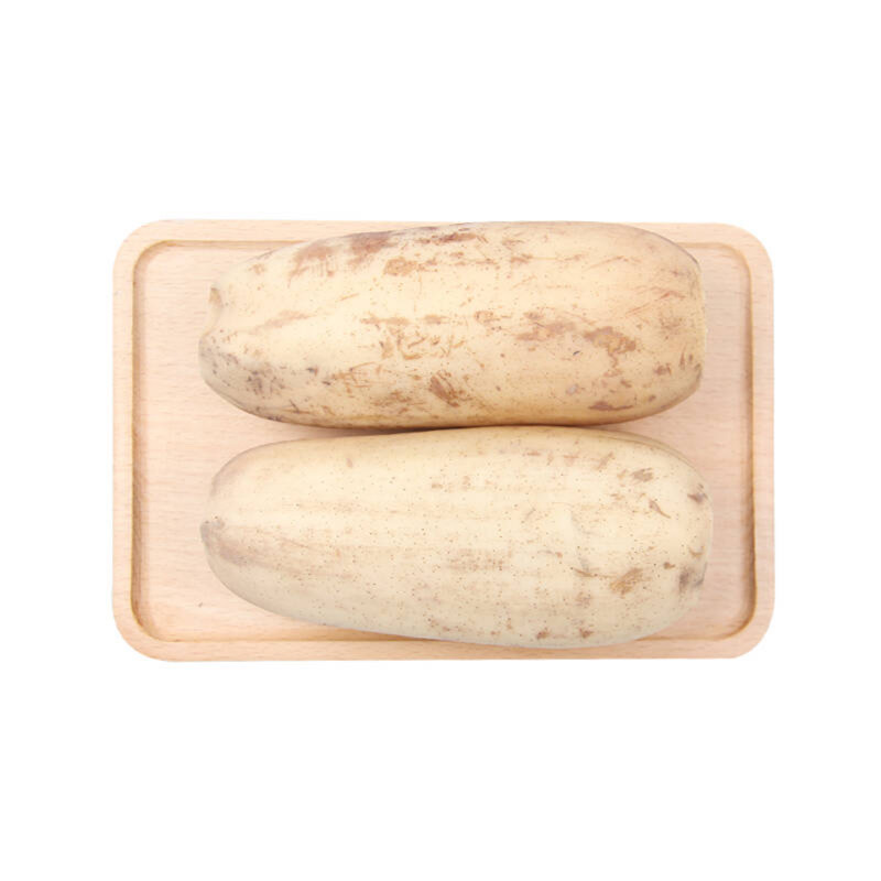 鲜藕