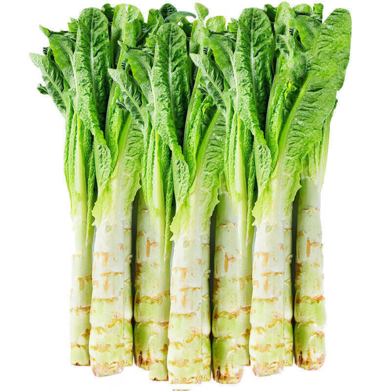 莴笋