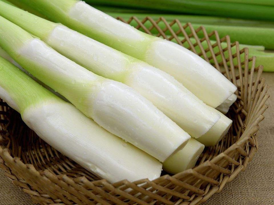 茭白