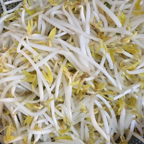 绿豆菜