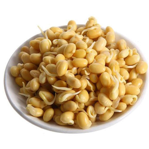黄豆嘴