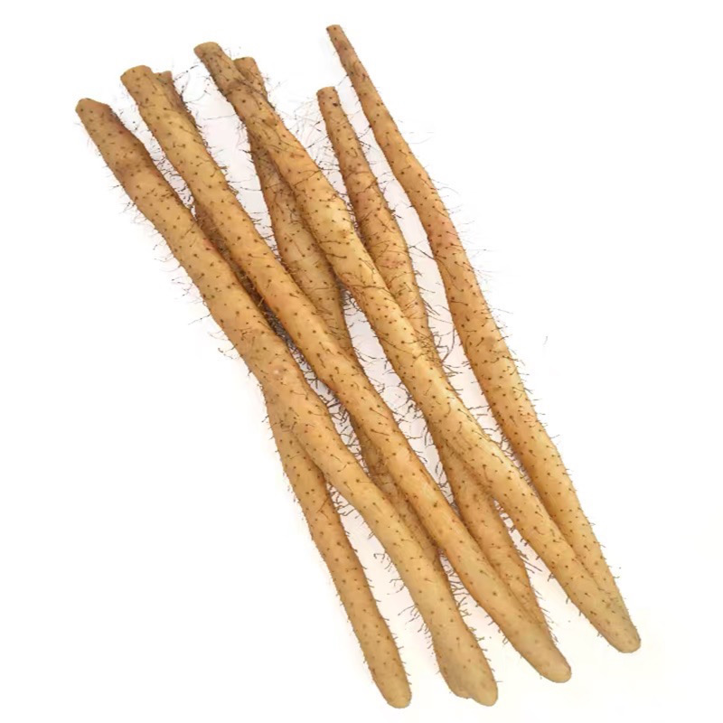 小白嘴麻山药