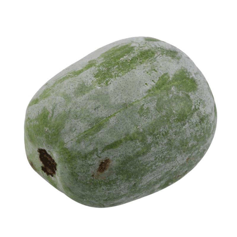 毛冬瓜