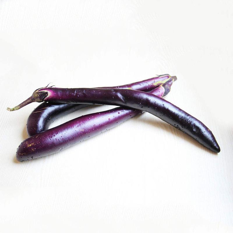 紫长茄
