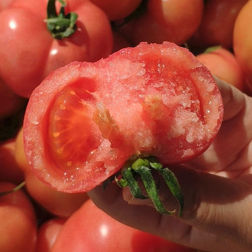 普罗旺斯西红柿