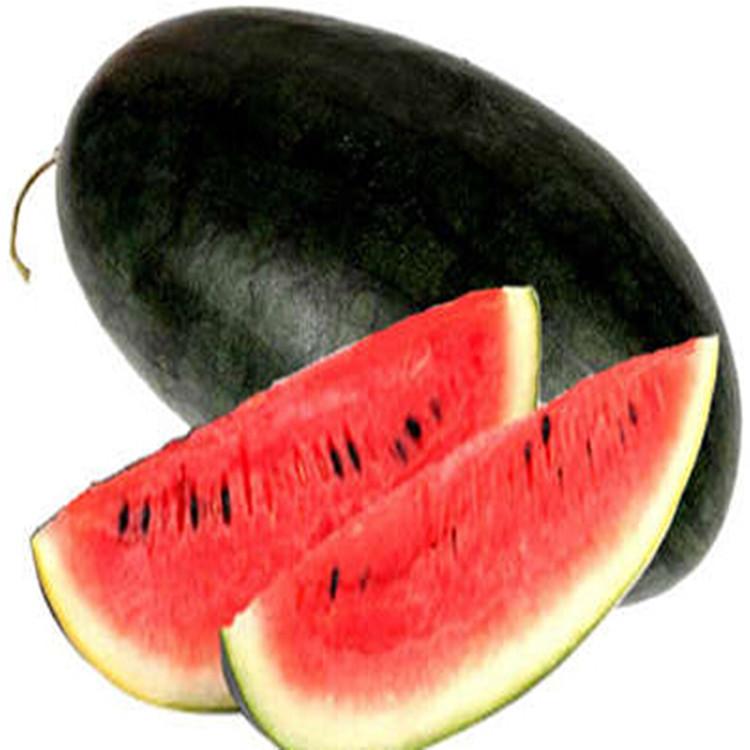 黑美人西瓜