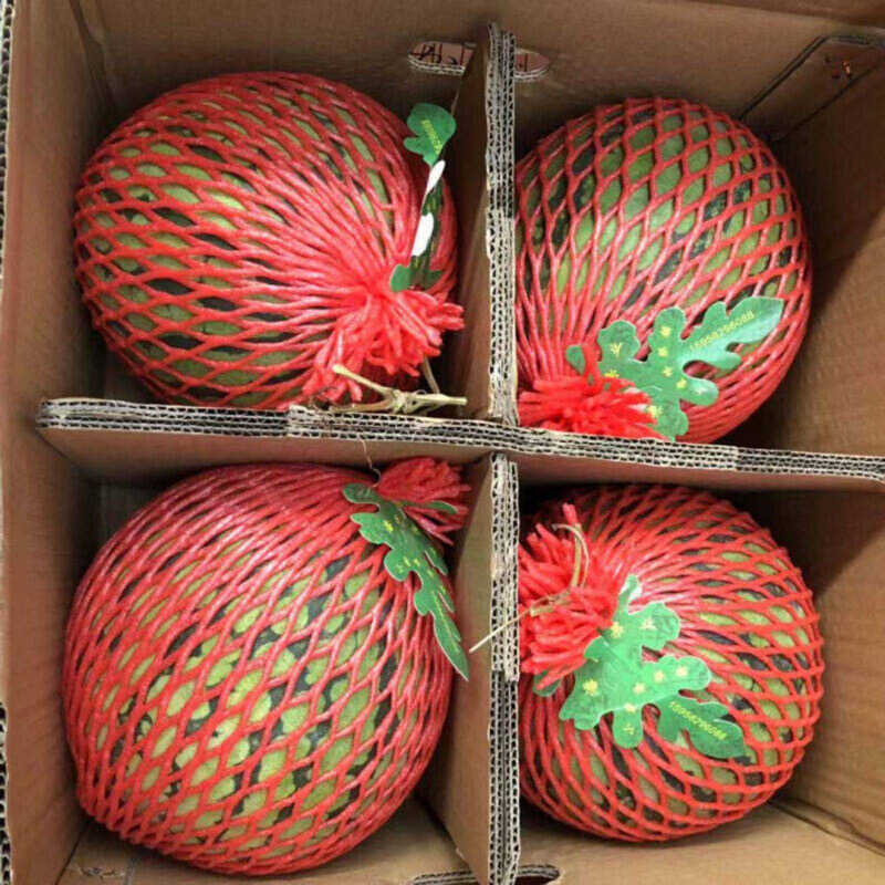 麒麟西瓜