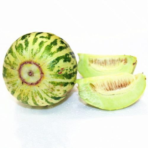 花蕾甜瓜