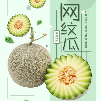 网纹瓜