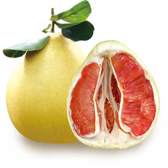 有机红柚