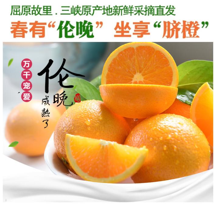 伦晚脐橙