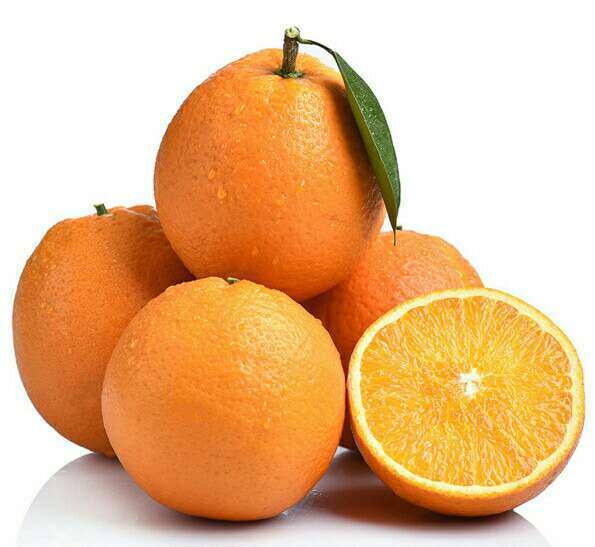 纽荷尔脐橙