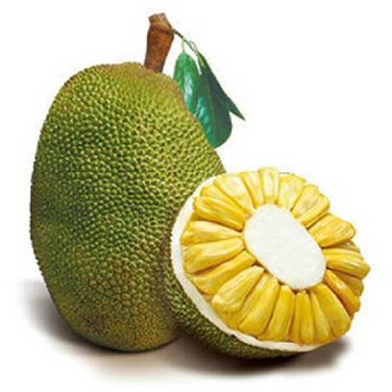 菠萝蜜