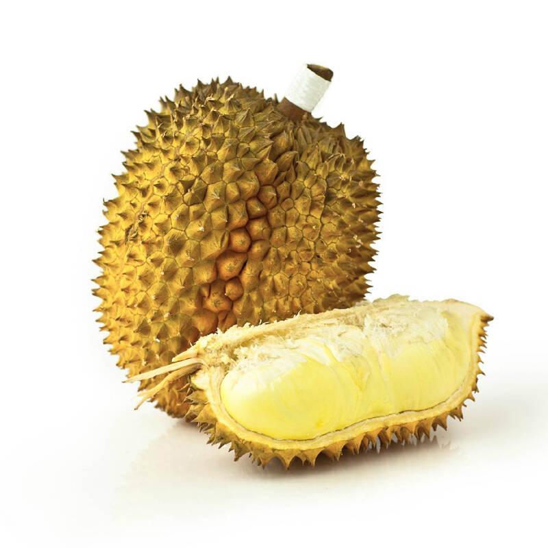 金枕榴莲