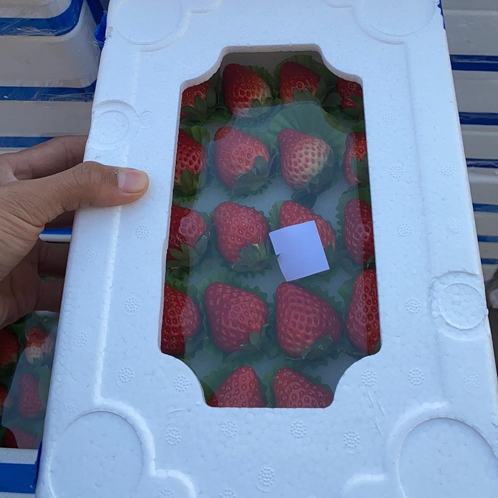 九九草莓盒［1.4斤］