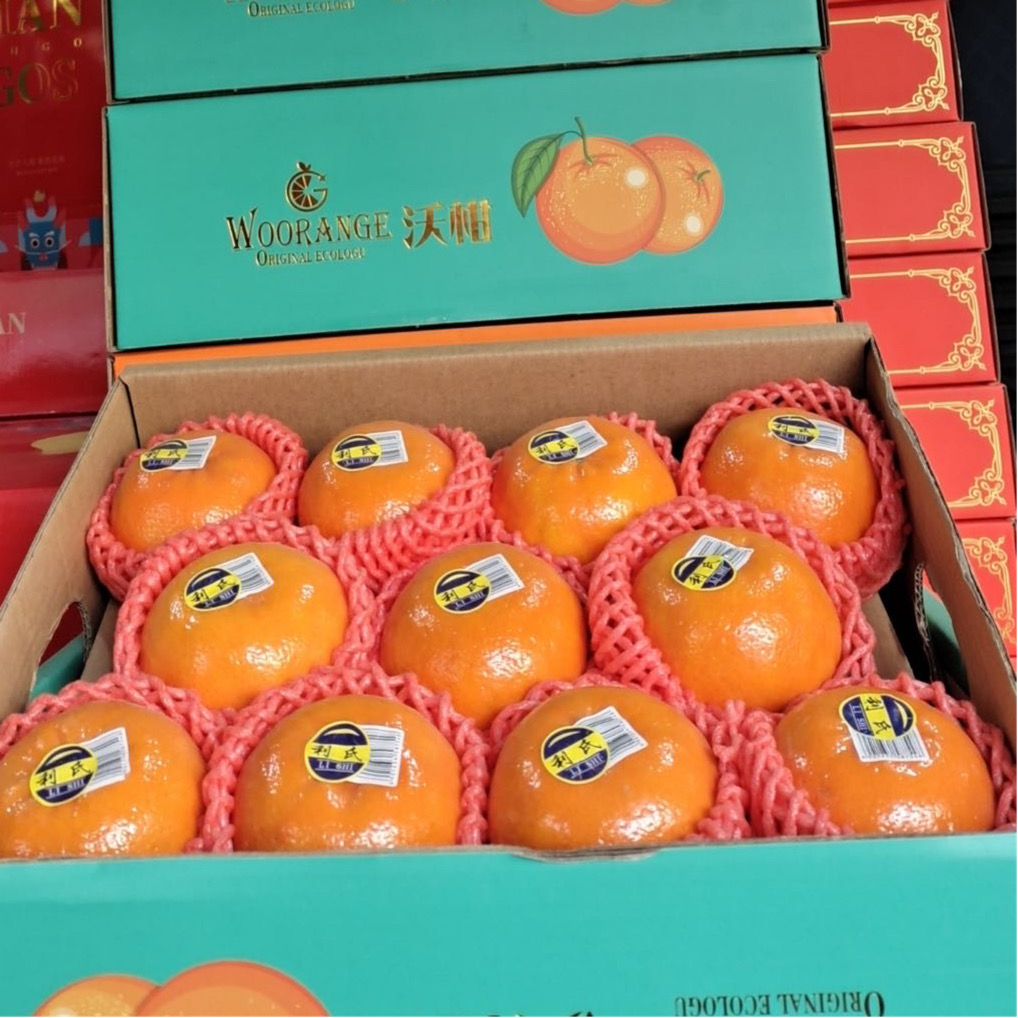 沃柑礼盒